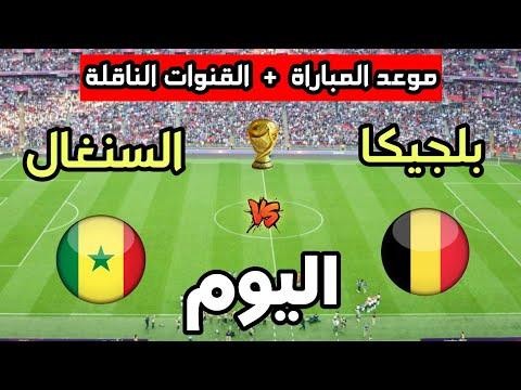 صراع الجبابرة: موعد مباراة بلجيكا والسنغال، التشكيل المتوقع والقنوات الناقلة